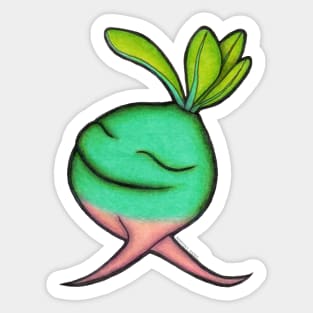 Baby baobab or Pachypodium 7 Sticker